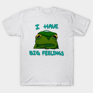 I Have Big Feelings Frog T-Shirt
